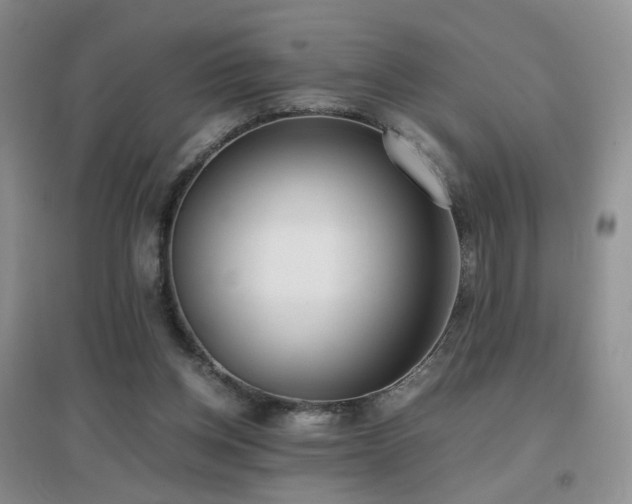 X0000096960158200802081238