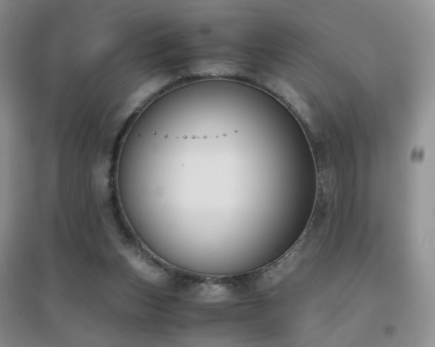 X0000096960159200802081238