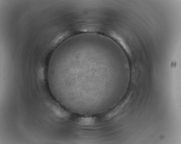 X0000096960161200802081238