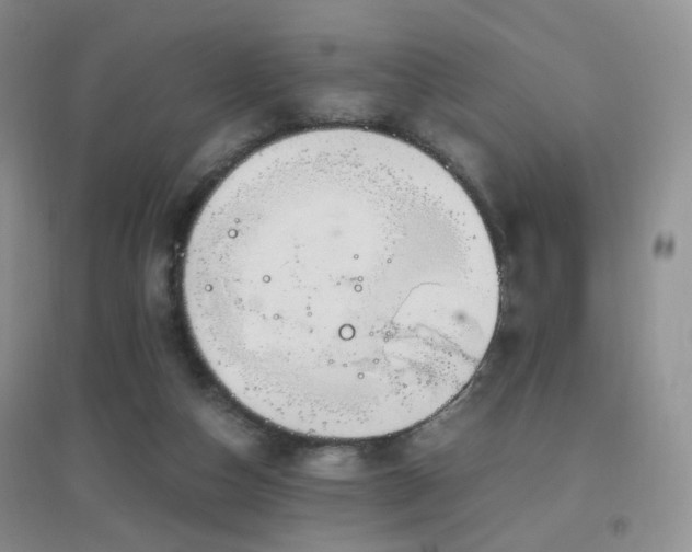 X0000096960162200802081238