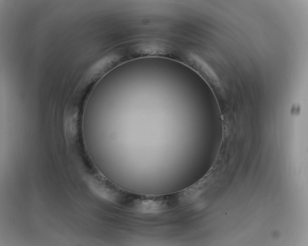 X0000096960163200802081238