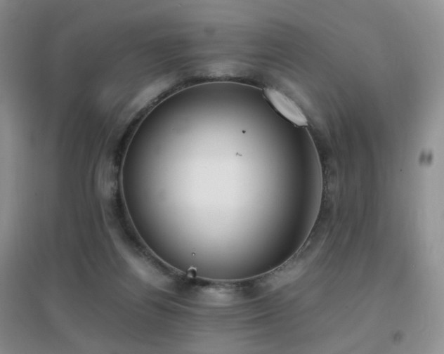 X0000096960164200802081238