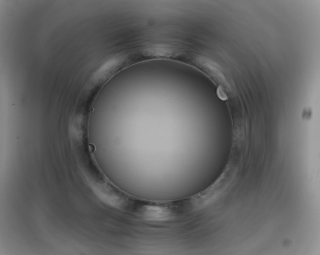 X0000096960167200802081238