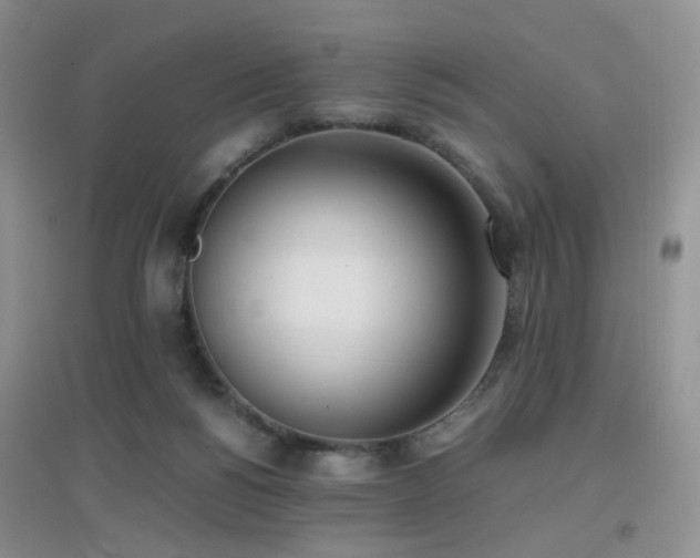 X0000096960168200802081238