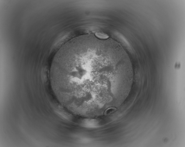 X0000096960169200802081238