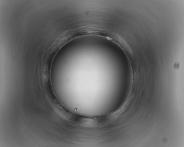 X0000096960170200802081238