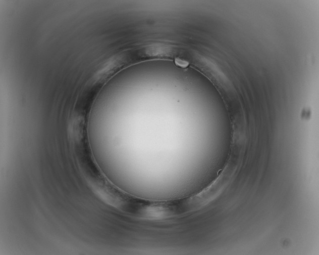 X0000096960171200802081238