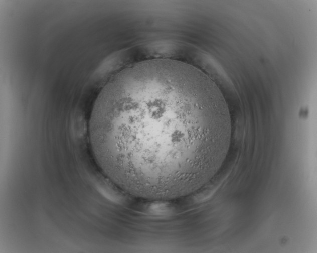 X0000096960173200802081238