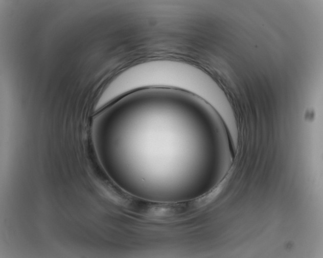 X0000096960174200802081238