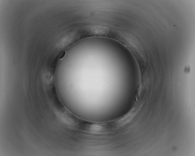 X0000096960176200802081238