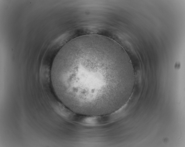 X0000096960178200802081238