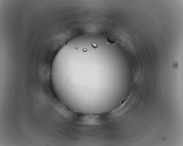 X0000096960179200802081238