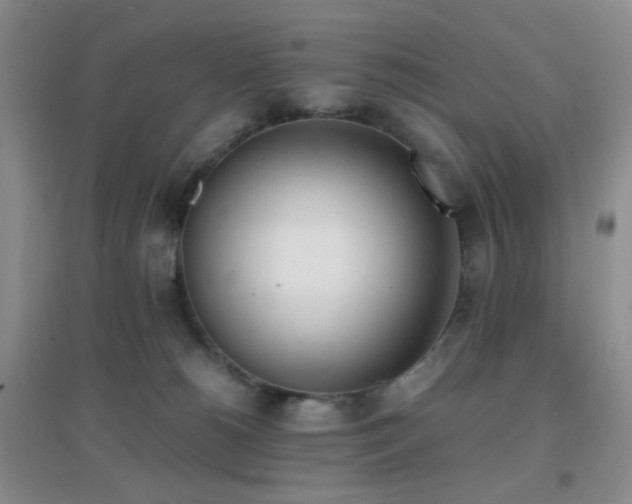 X0000096960180200802081238