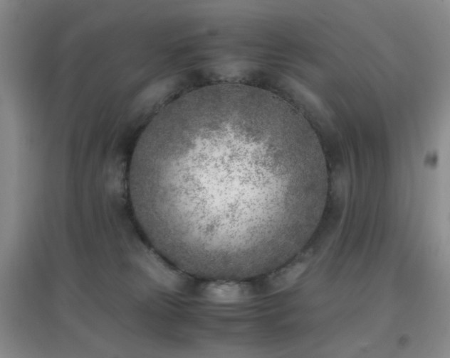 X0000096960181200802081238