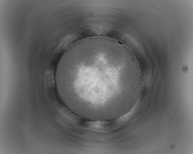 X0000096960182200802081238