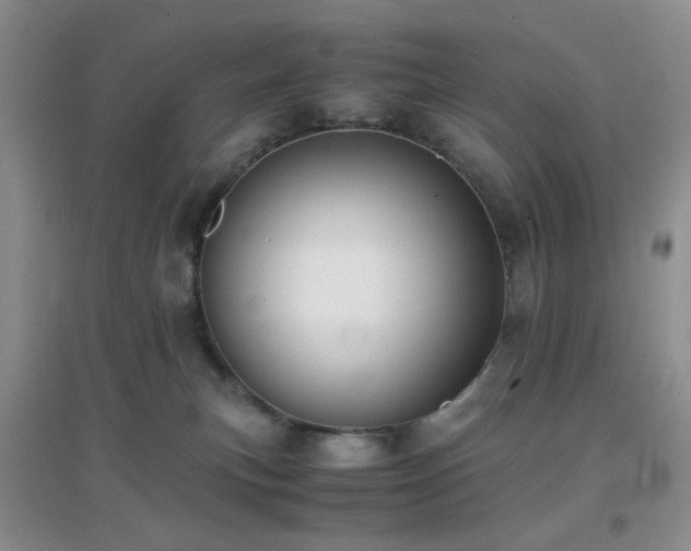 X0000096960183200802081238