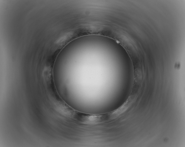 X0000096960184200802081238