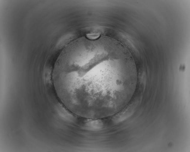 X0000096960185200802081238