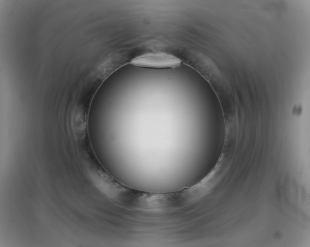 X0000096960186200802081238