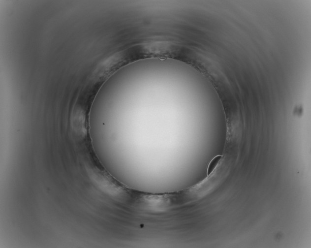 X0000096960187200802081238