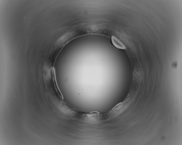 X0000096960188200802081238