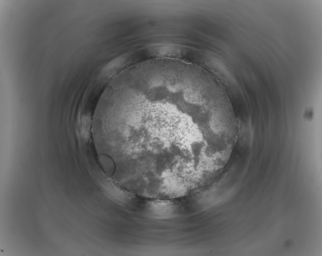 X0000096960189200802081238