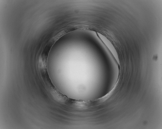 X0000096960190200802081238