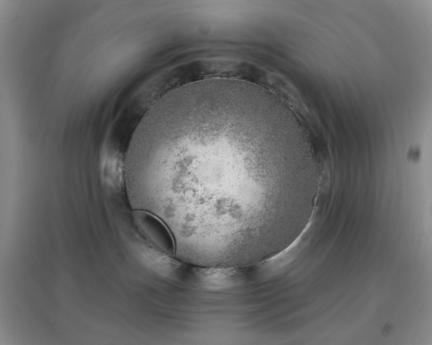 X0000096960191200802081238