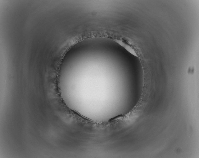 X0000096960192200802081238