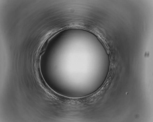 X0000096960193200802081238