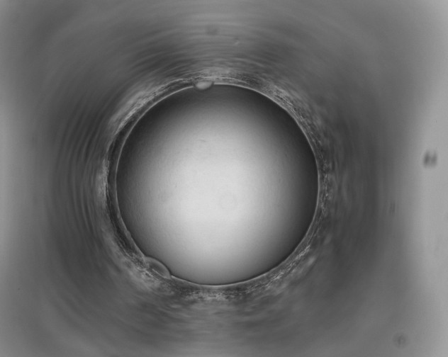 X0000096960194200802081238