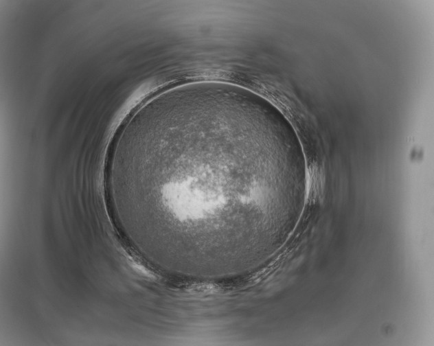 X0000096960195200802081237