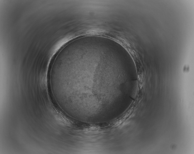 X0000096960196200802081237