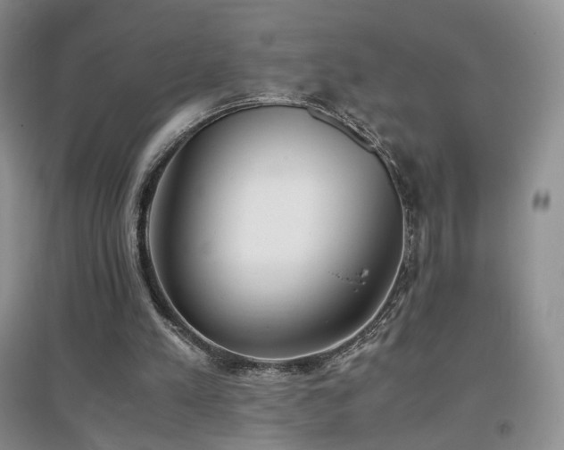 X0000096960197200802081237