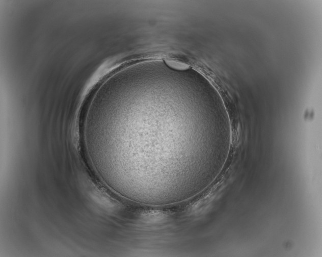 X0000096960198200802081237