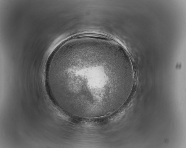 X0000096960199200802081237