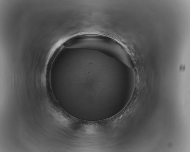 X0000096960200200802081237