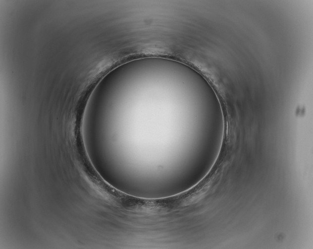 X0000096960201200802081237