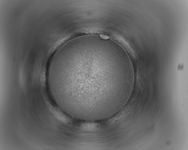 X0000096960202200802081237