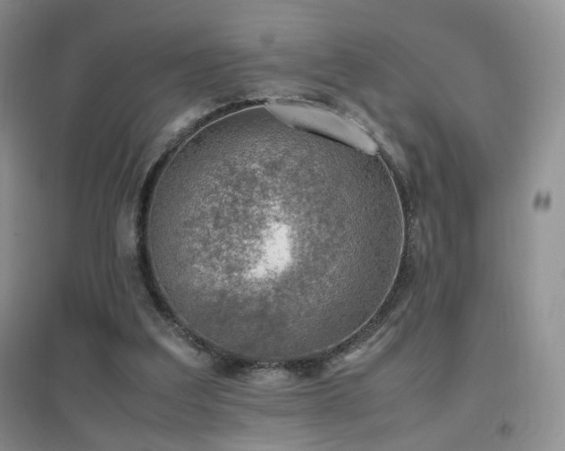 X0000096960203200802081237