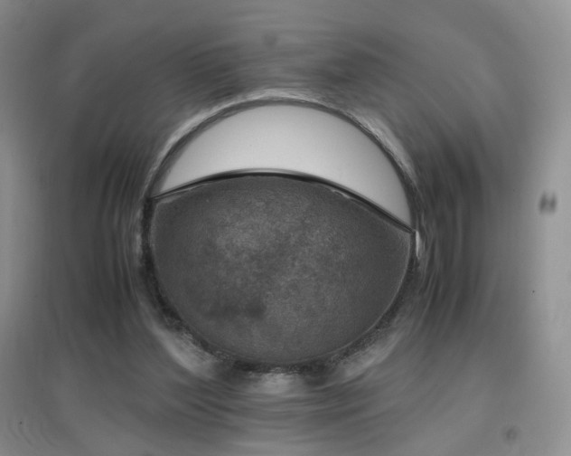 X0000096960204200802081237