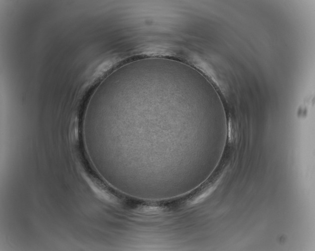 X0000096960205200802081237