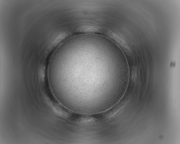 X0000096960206200802081237