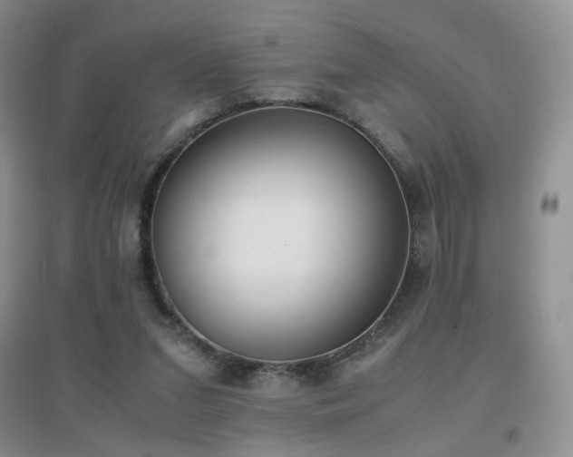 X0000096960207200802081237