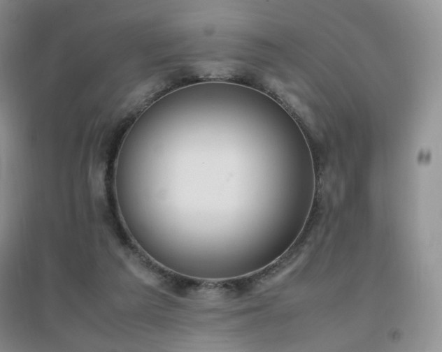 X0000096960209200802081237