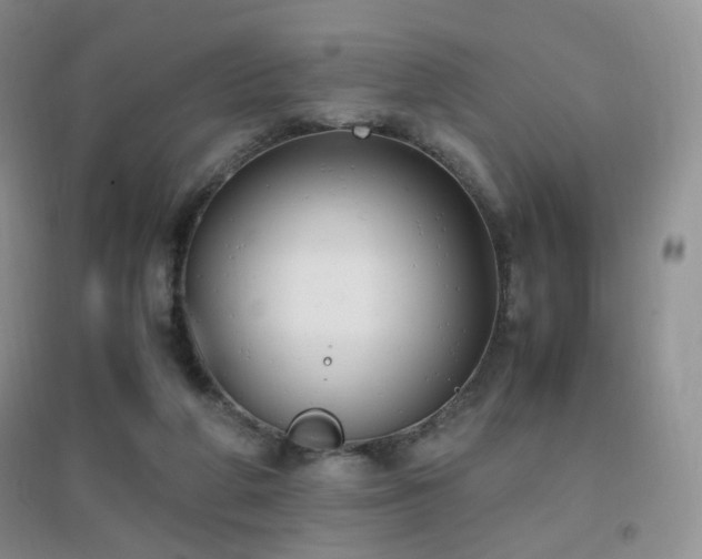 X0000096960210200802081237