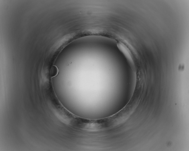 X0000096960212200802081237