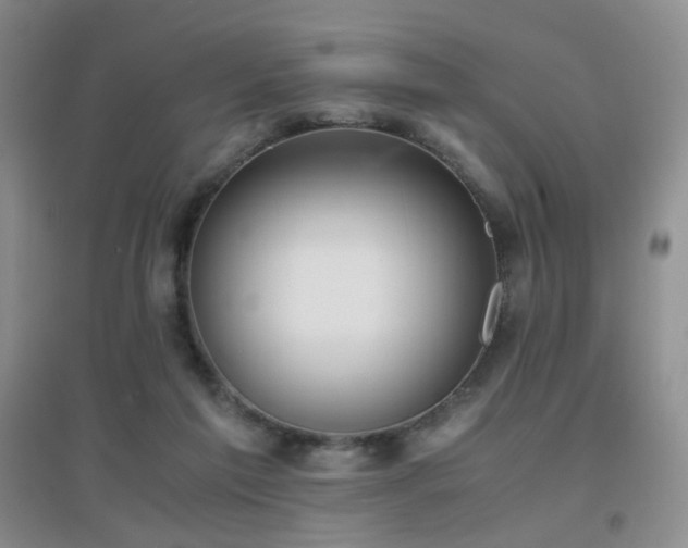 X0000096960213200802081237