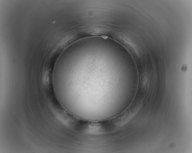 X0000096960214200802081237