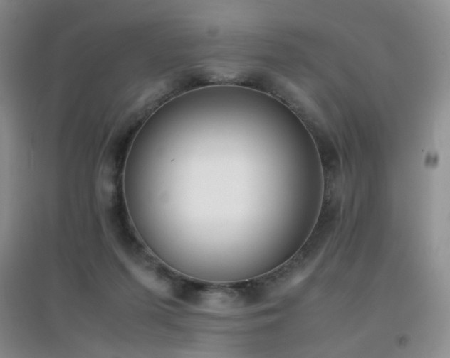 X0000096960215200802081237